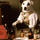 A <i>Wishbone</i> Movie Will Bring the Literary Pup's Historical Adventures to the Big Screen